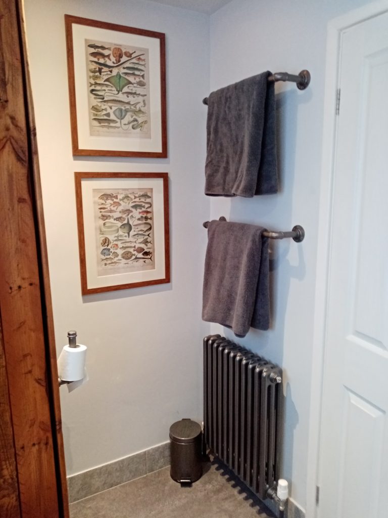 Bespoke radiator, antique fish prints and industrial metal hangers designed by Paint and Plan